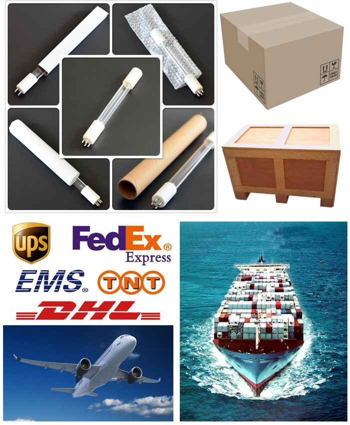 Transport of electronic ballast for uv lamp