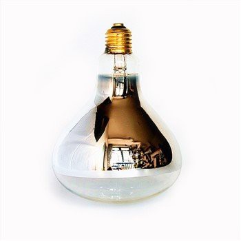 Lampu Inframerah 250w