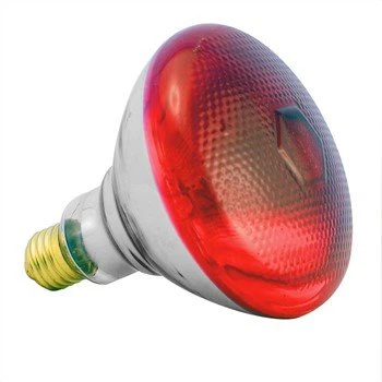 Lampu Panas Brooder Ayam