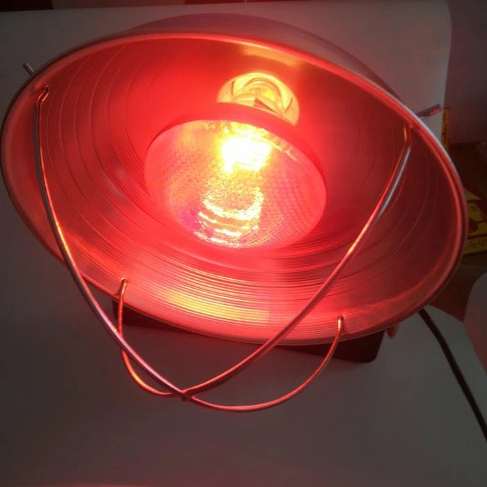 Infrared Heating Lamp Breeding Bulb With Lampshade