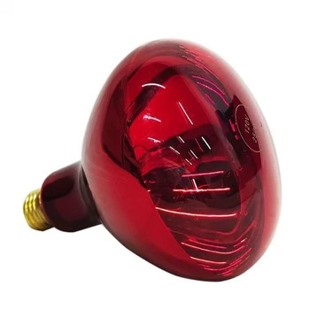 Lampu Panas Untuk Manusia